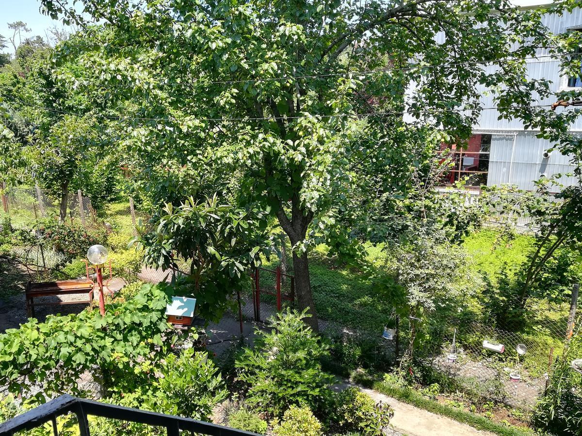 Guest House Of Givi Кобулеті Екстер'єр фото